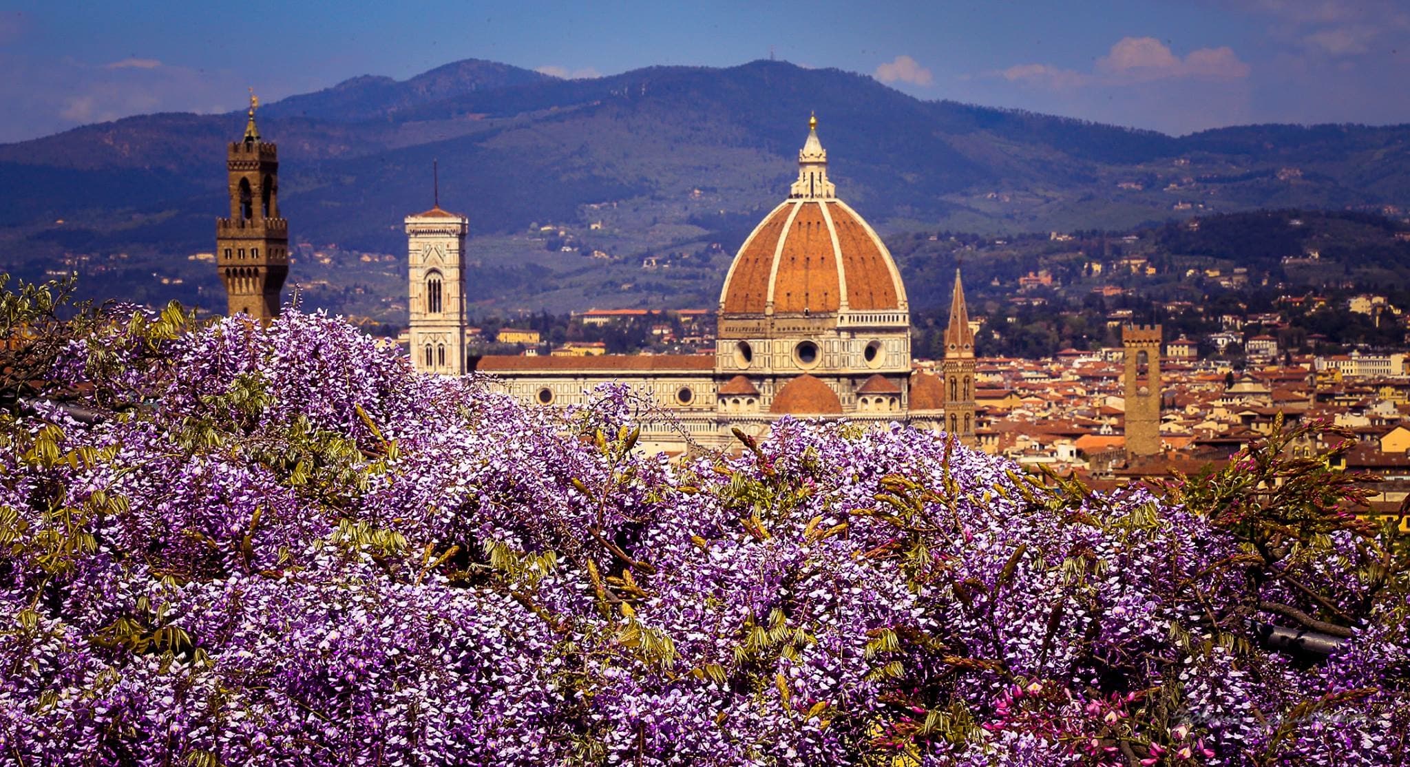 Firenze da Livorno
